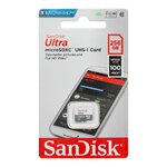 SANDISK karta pamici ULTRA SDXC 256GB 100MB/s class 10