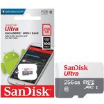 SANDISK karta pamici ULTRA SDXC 256GB 100MB/s class 10