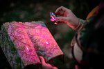 Latarka LED Newell EDC Nyks Solid - biała