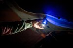 Latarka LED Newell EDC Nyks Solid - czarna