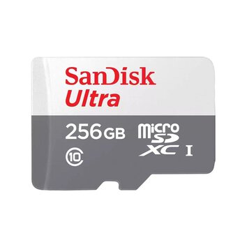 SANDISK karta pamici ULTRA SDXC 256GB 100MB/s class 10