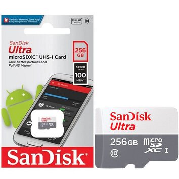 SANDISK karta pamici ULTRA SDXC 256GB 100MB/s class 10