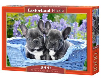 CASTORLAND Puzzle układanka 1000 elementów French Bulldog Puppies - Buldogi francuskie 68x47cm